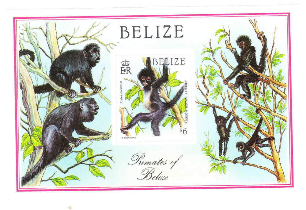 Belize 1987 Indigenous Primates Black Spider Monkey S/S MNH - Belize (1973-...)