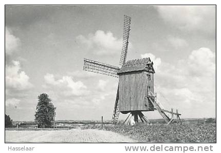 Mater - Oude Molen Tissenhove - Oudenaarde