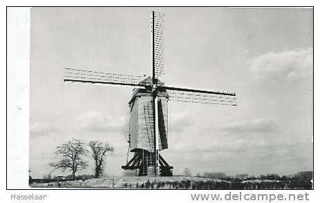 Balegem - Windekemolen - Oosterzele