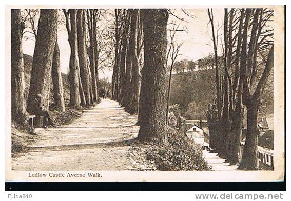 CPA.   LUDLOW CASTLE ;   Avenue Walk.      1919. - Shropshire