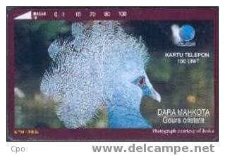 # INDONESIA S241 Dara Mahkota Crowned Pigeon 100 Tamura 10.94 -birds,oiseaux- Tres Bon Etat - Indonésie