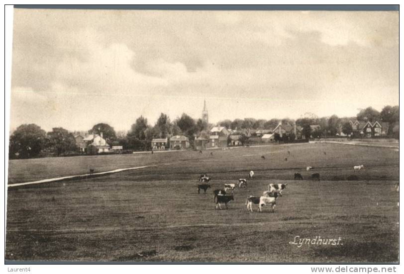 (4) - Old Great Britain Postcard - Carte Anciennde Grande Bretagne - Lyndhurst - Cows - Sonstige & Ohne Zuordnung