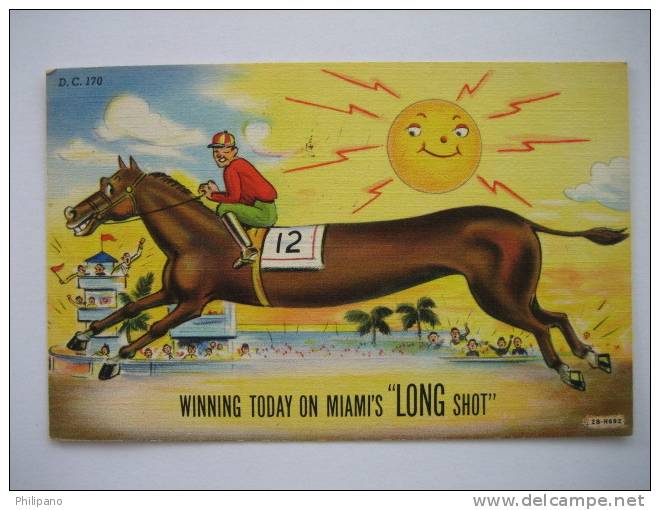 Horse Racing    Winning Today On Miami's Long Shot    Linen Comic   1946 Cancel - Miami