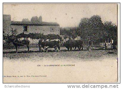 Le Labourage  En Auvergne    63   Attelage Mixte Bœufs Et Cheval - Auvergne Types D'Auvergne