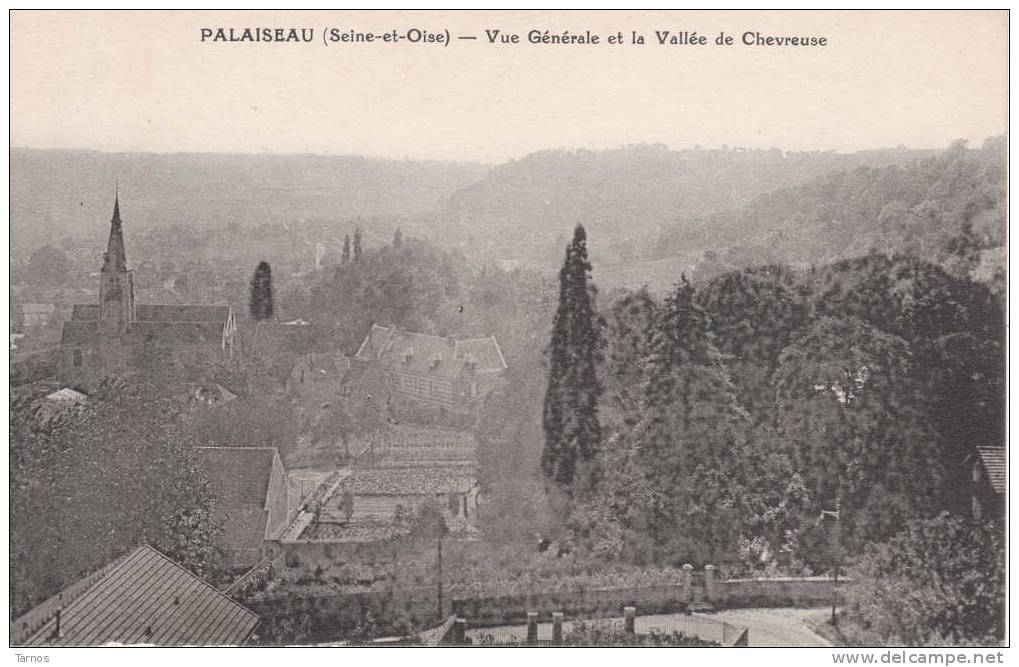 PALAISEAU VUE GENERALE ET LA VALEE DE CHEVREUSE - Palaiseau