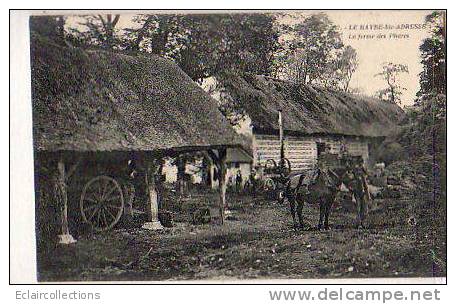 Ste Adresse La Ferme Des Phares..Battage  Agriculture - Cap De La Hève