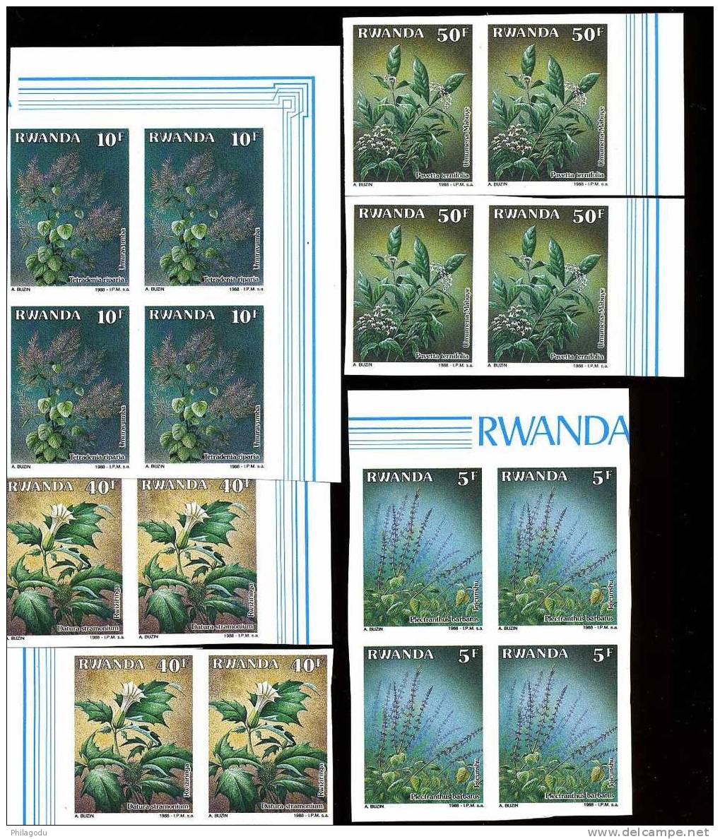 BUZIN Plantes Médicinales  NON DENTELES  1342/1346** X 4 Séries Incomplètes - Unused Stamps