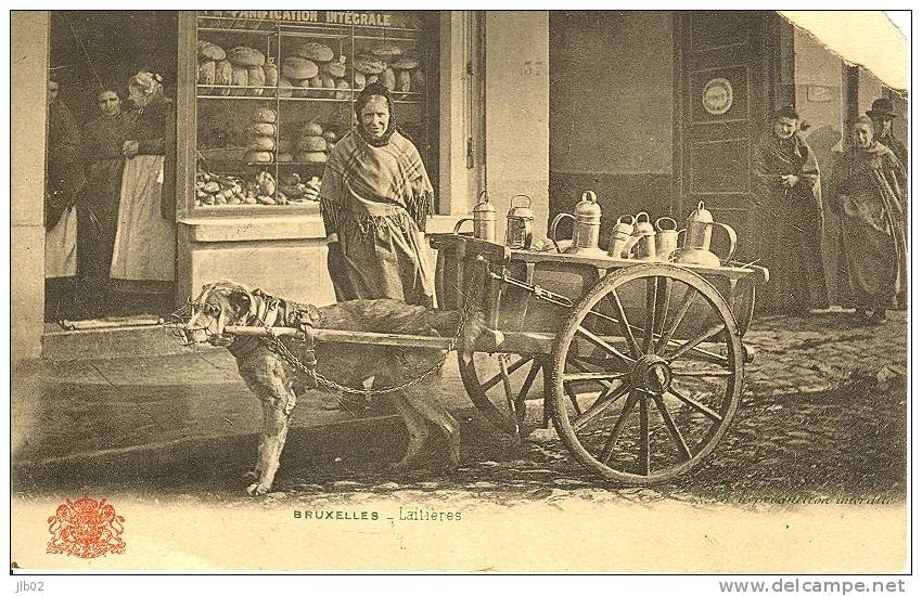 Bruxelles - Laitières                              Gros Plan   Attellage De Chien      Mais Abimé Dommage!!! - Old Professions