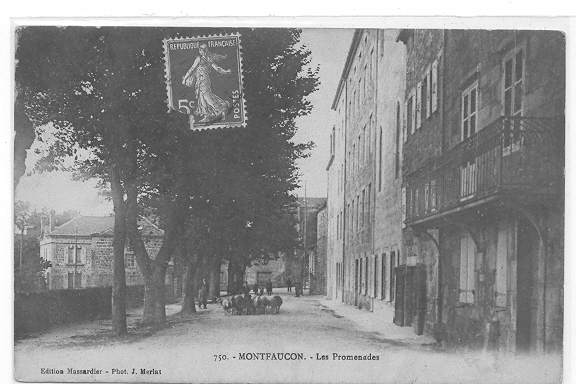 43 // MONTFAUCON - Les Promenades N° 750 Ed Masssardier + Troupeau De Moutons - Montfaucon En Velay