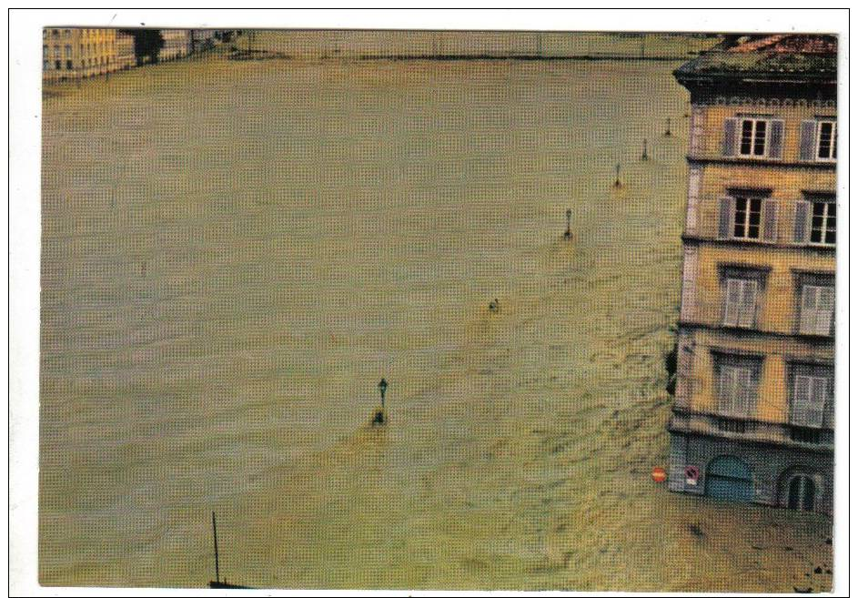 FIRENZE - L'ARNO VISTO DA VIA DE' BARDI - ALLUVIONE DEL 4 NOVEMBRE 1966 - Firenze (Florence)