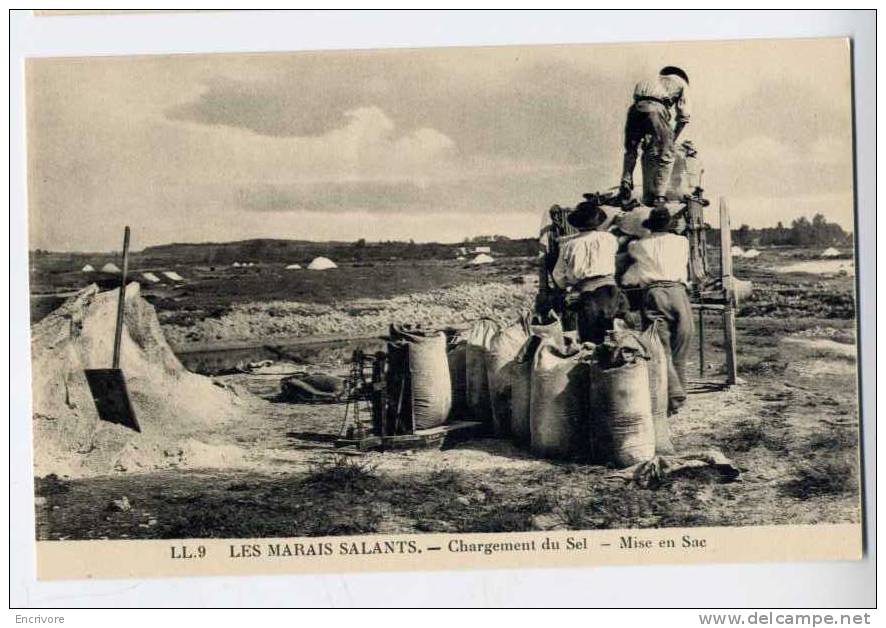 Cpa LES MARAIS SALANTS Chargement Du Sel Mise En Sac LL 9 - Pays De La Loire