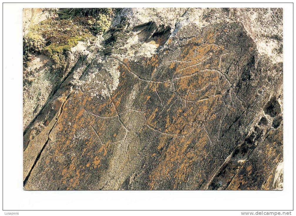 Portugal Cor 5538 – FOZ CÔA GRAVURAS RUPESTRES - ROCK ENGRAVINGS - SITIO DA PANASCOSA - Guarda