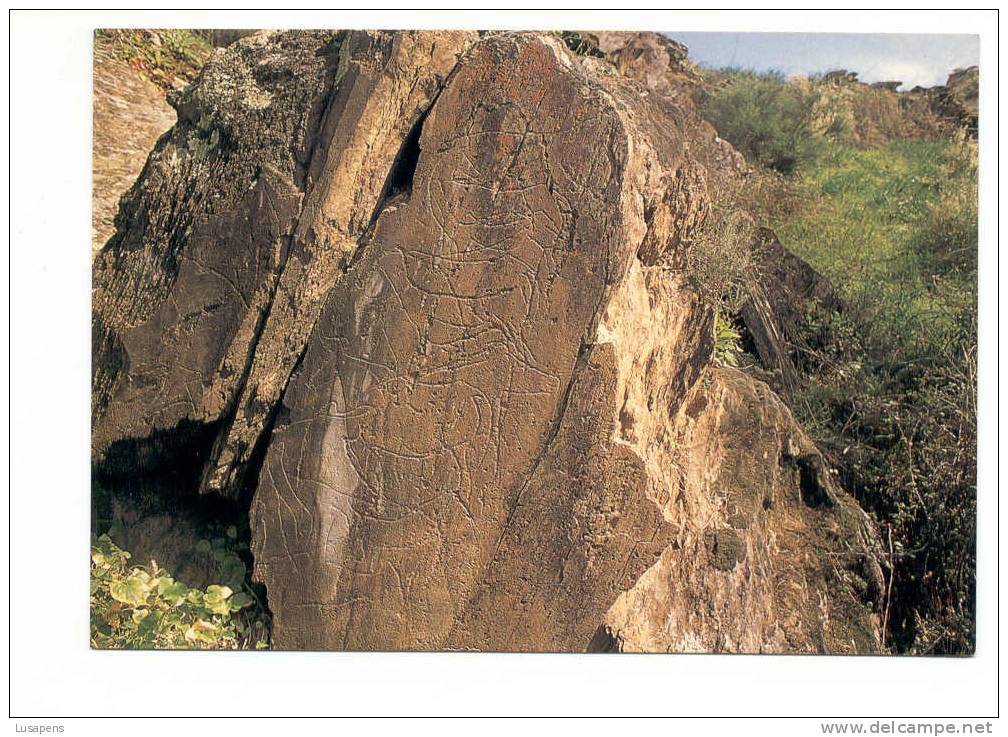 Portugal Cor 5540 – FOZ CÔA GRAVURAS RUPESTRES - ROCK ENGRAVINGS - SITIO DA PANASCOSA - Guarda