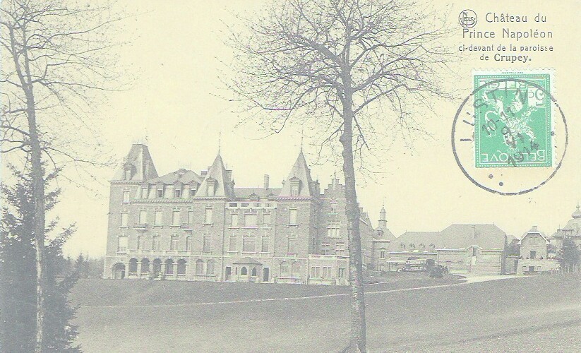 CRUPEY  - CHATEAU DU PRINCE NAPOLÉON - Assesse