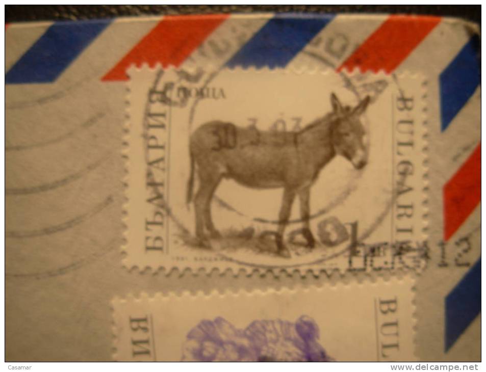 Bulgaria Asno Burro Ane Donkey Stamp Cover Sobre Enveloppe To USA - Burros Y Asnos