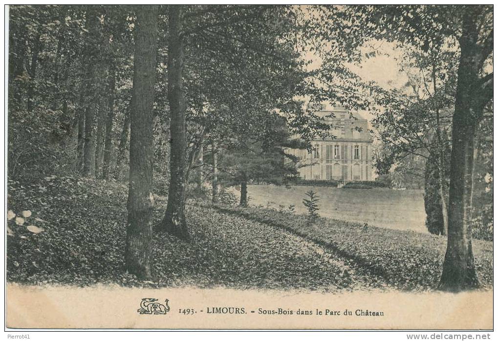 Sous Bois Dans Le Parc Du Chateau - Limours