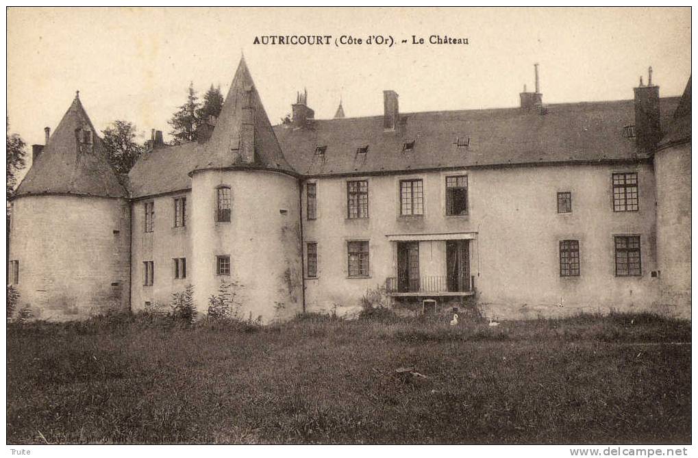 AUTRICOURT LE CHATEAU  CYGNES - Autres & Non Classés