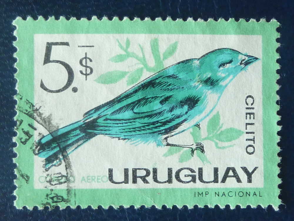 Uruguay, 1962, Michel 950 Obl. - Uruguay