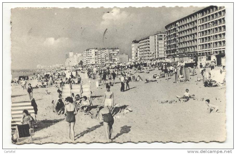 MARIAKERKE-STRAND EN DIJK - Oostende