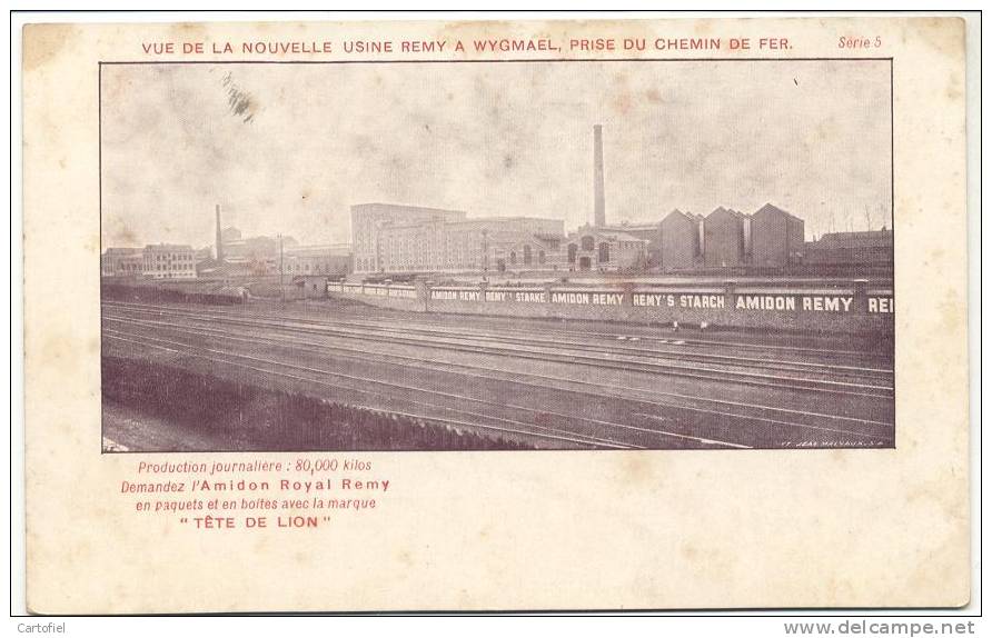 WYGMAEL-VUE DE LA NOUVELLE USINE REMY-PRISE DU CHEMIN DE FER-SERIE 5 - Leuven