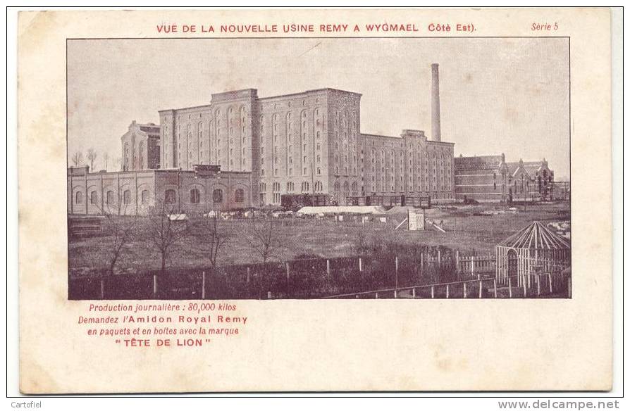 WYGMAEL-VUE DE LA NOUVELLE USINE REMY-COTE EST-SERIE 5 - Leuven