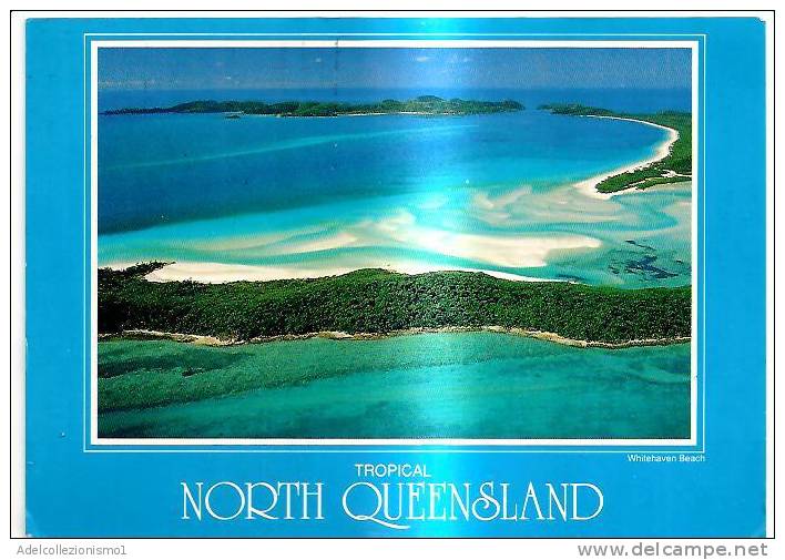 43909)cartolina Illustratoria North Queensland E Panorama - Altri & Non Classificati