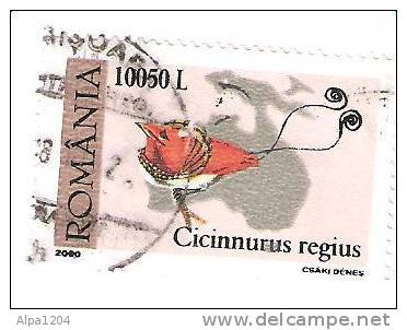 POSTA ROMANIA "CICINNURUS REGIUS" 10050 L. - OBLITERE - Collections