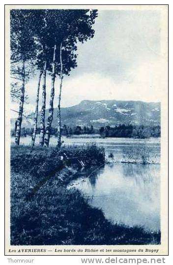 38  - LES  AVENIERES  -  Les Bords Du Rhone Et Les Montagnes Du Bugey  - ( Pecheur  ) - 1935 - BELLE CARTE  - - Les Avenières