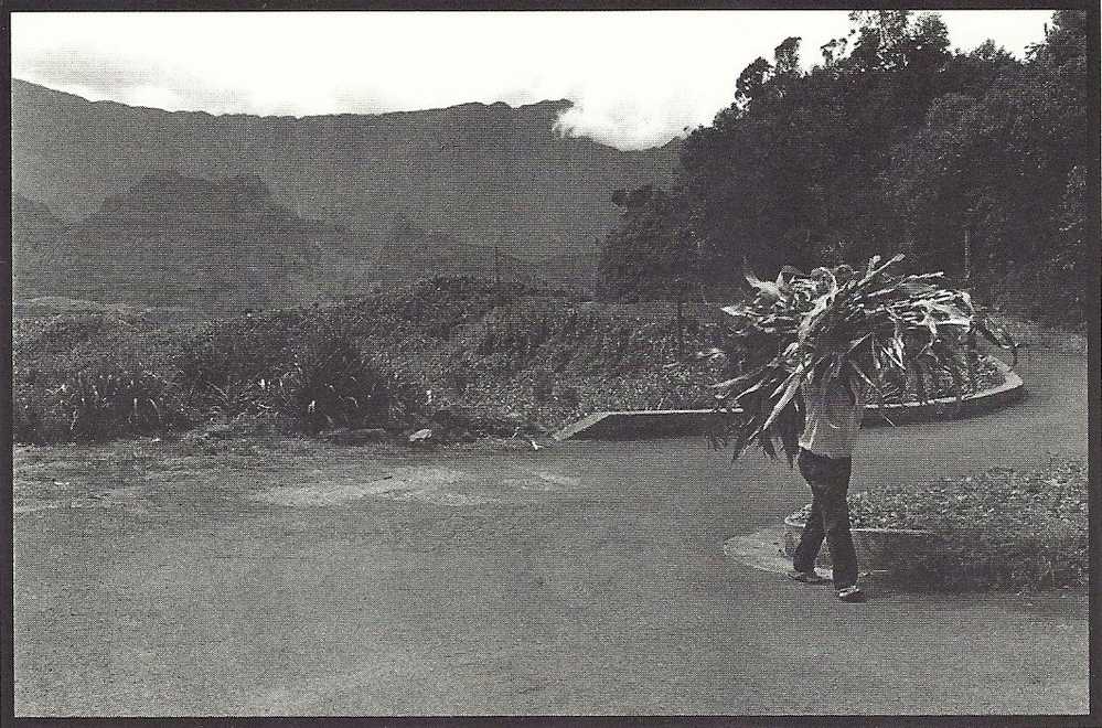 LA REUNION 974.ILET A CORDE - Autres & Non Classés