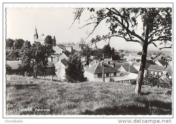 Belgique GIMNEE Panorama - Achat Immédiat - Doische