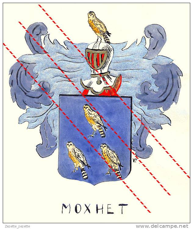 VERVIERS Généalogie Armoiries Des Familles Verviétoises + MOXHET + écusson, écu, Emblème, Blason, Armes, (farde) - Watercolours