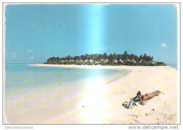 44060)cartolina Illustratoria Località Delle Maldive E Panorama - Maldives