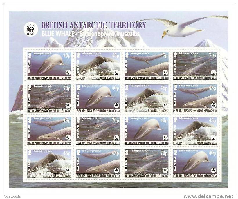 Territorio Antartico Britannico - Foglietto Nuovo:  Balene Protette WWF - Unused Stamps