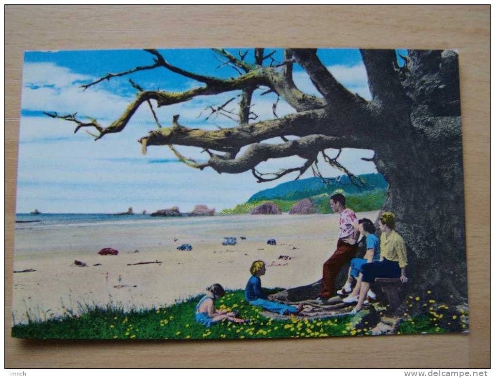 CANNON BEACH-OREGON-the Beach Of A Thousand Wonders-personnages Sous Un Arbres Sur La Plage-beach- - Autres & Non Classés