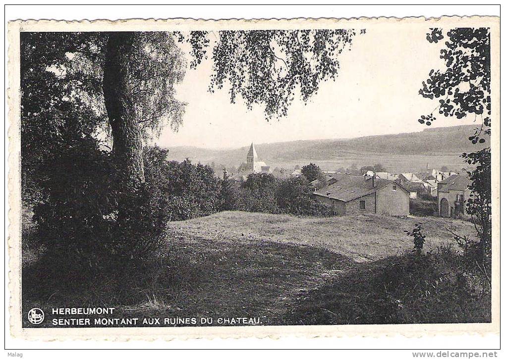 Herbeumont Sentier Montant Aux Ruines Du Chateau - Herbeumont