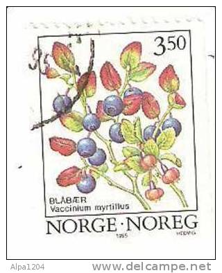 TIMBRE NORVEGE 1995 "Baies Forestières" - Usados