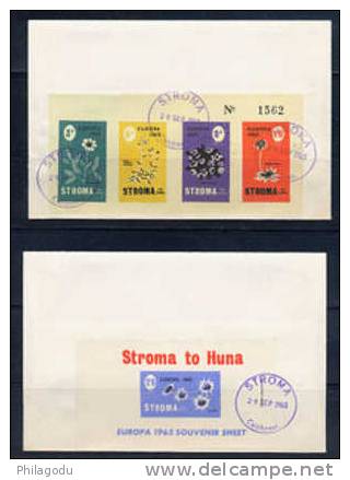 Stroma 1962, 2 FDC  Europa 1962 Set And Bloc  Flowers Fleurs - Local Issues