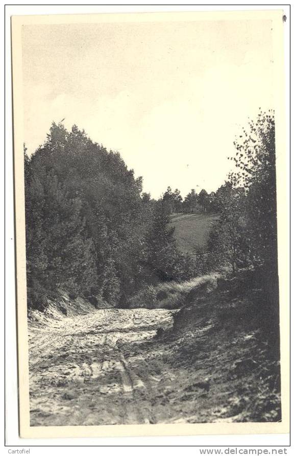 BONLEZ-CHEMIN DE BONLEZ A CHAUMONT-ED.ROGGE-RARE!!-2 SCANS - Chaumont-Gistoux