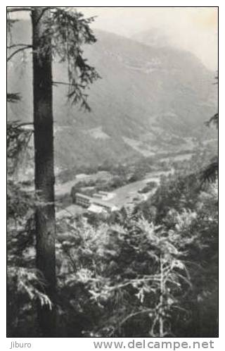 Colonie De Vacances De St-Jeoire / Les Jeunes Ailes // 1/252 - Saint-Jeoire