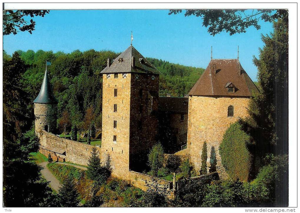 REINHARDSTEIN - Le Burg Metternich - Weismes