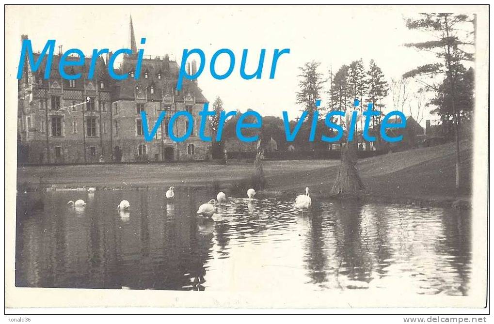 Cp 76 CLERES L´église Et Le Chateau Manoir  ( Zoo , Parc Zoologique , Forêt , Oiseaux  ) Carte Postale Photo Amateur - Clères