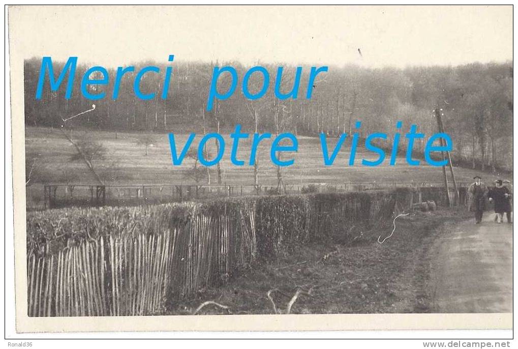 Cp 76 CLERES Route  ( Zoo , Parc Zoologique , Forêt , Oiseaux  ) Carte Postale Photo Amateur - Clères