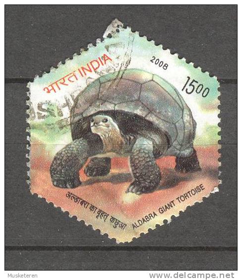 India 2008   15.00 (R) Aldabra Giant Tortoise 6-sided Stamp - Usados