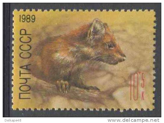 Soviet Unie CCCP Russia 1989 Mi 5935 ** Martes: Marten / Marder / Marter - Russian Zoo - Ongebruikt