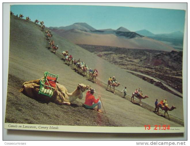 3644 CAMEL LANZAROTE CANARIAS CANARY ISLANDS POSTAL AÑOS 1970 MIRA OTRAS SIMILARES EN MI TIENDA - Lanzarote