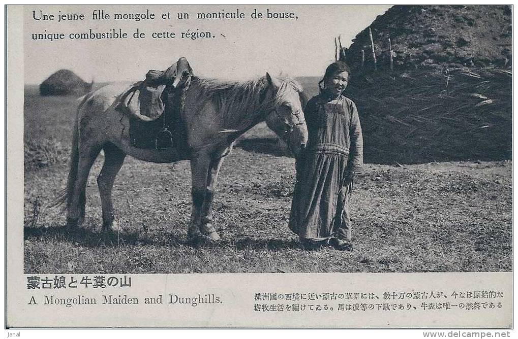 - ASIE -  MONGOLIE - JEUNE FILLE - A MONGOLIAN MAIDEN AND DUNGHILLS - - Mongolie