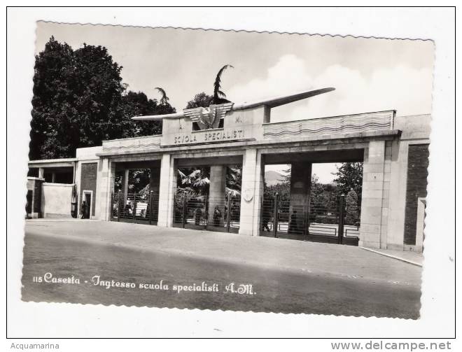 CASERTA - Ingresso Scuola Specialisti A.M. - FG BN V 1955 - Caserta