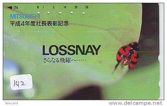 Ladybird Coccinelle Lieveheersbeestje Insect (142) - Lieveheersbeestjes