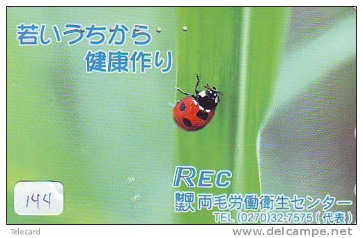 Ladybird Coccinelle Lieveheersbeestje Insect (144) - Ladybugs
