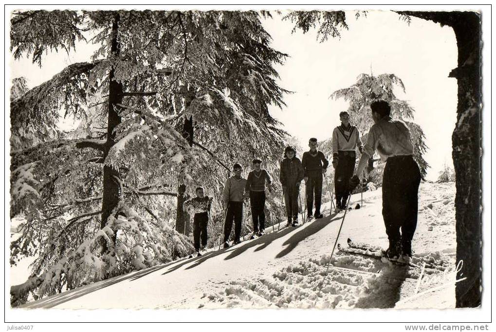 CHREA (Algérie) Sport D'hiver Skieurs Beau Plan - Autres & Non Classés